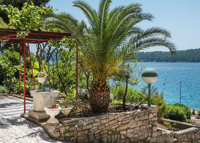 Magnolia - Magnolia By Interhome Daire Mali Lošinj
