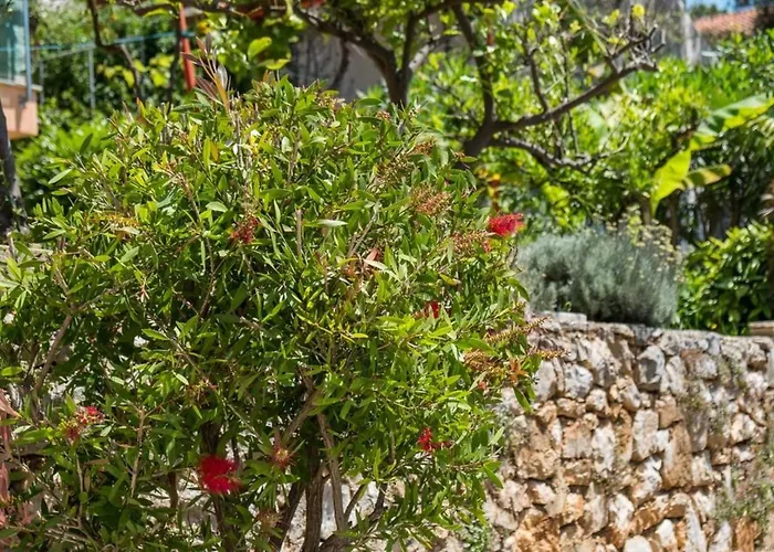 Magnolia - Magnolia By Interhome * Mali Lošinj